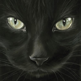 Servet - black cat - PPD