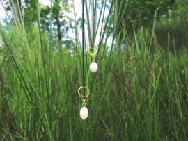 Moonstone Gold