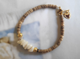 Shell and Coconut