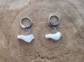 Bird Freshwatershell