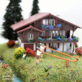 Zwitsers diorama