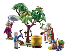 Playmobil 70933 Asterix: Panoramix Met Toverdrank