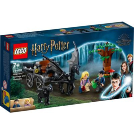 Lego Harry Potter 76400 Zweinstein Rijtuig en The Stralissen