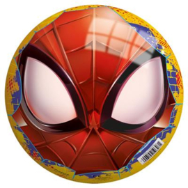 Bal Spiderman 23cm Assorti