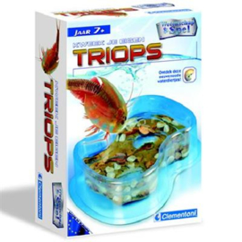 Kweek je Triops