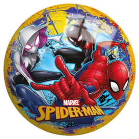 Bal Spiderman 23cm Assorti