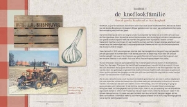 Receptenboek 'Verse knoflook'