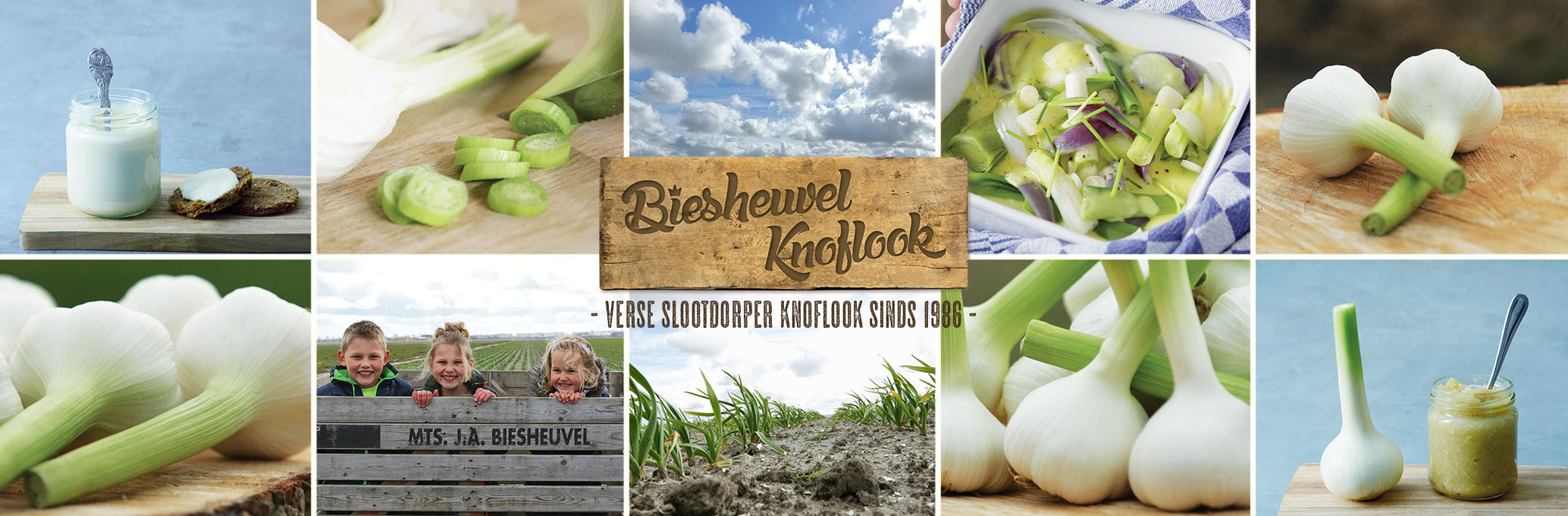 Knoflook online