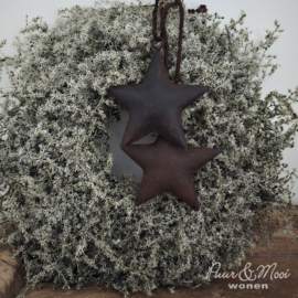 Ster Roest |12 cm