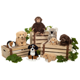 Berner Sennenhond 26 cm Zittend | Hermann Teddy Original