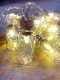 Mini Lights | Flesjes Draad Zilver