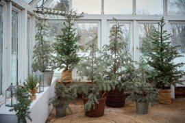 Guirlande Cedar & Cones | 180 cm | IB Laursen