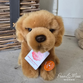 Golden Retriever 15 cm Zittend | Goud | Hermann Teddy Original