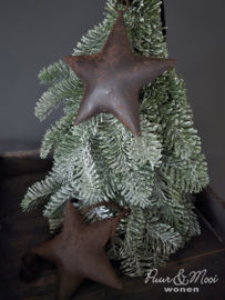 Ster Roest |12 cm
