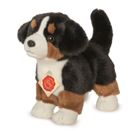 Berner Sennenhond 23 cm Puppy | Hermann Teddy Original