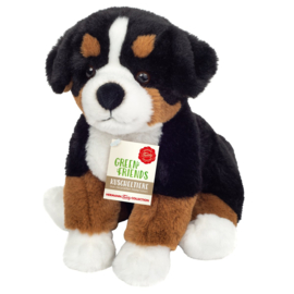 Berner Sennenhond 26 cm Zittend | Hermann Teddy Original