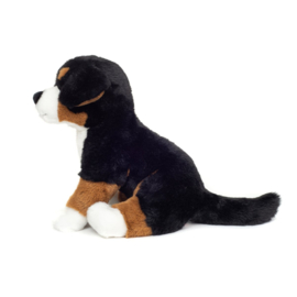 Berner Sennenhond 26 cm Zittend | Hermann Teddy Original