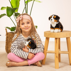 Berner Sennenhond 21 cm Zittend | Hermann Teddy Original
