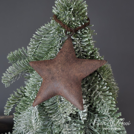 Ster Roest |12 cm