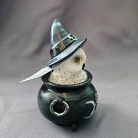 Owl's Brew 10 cm