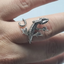 Ring hagedis