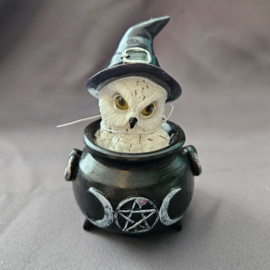 Owl's Brew 10 cm