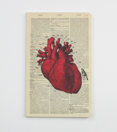 Anatomical Heart Dictionary Art Notebook