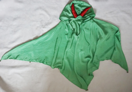 Groene poncho met hoorntjes