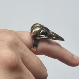 Ring vogelschedel