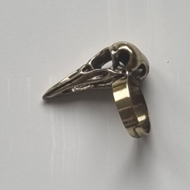Ring vogelschedel
