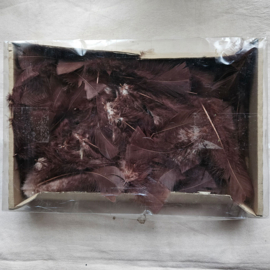 Doos Veren - Bruin