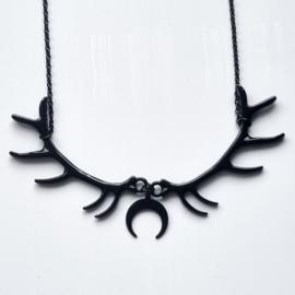 Ketting hoorns