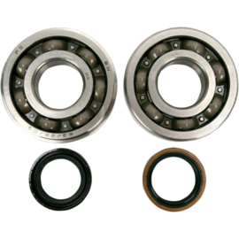 Hot Rods krukas lager & keerring kit voor de Suzuki RM 250 2005-2008