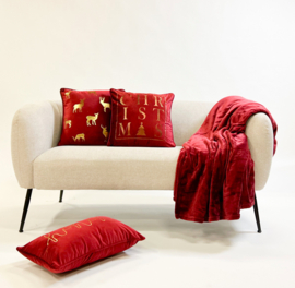 Christmas Rood (45x45)