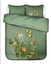 ESSENZA Ficaria Greenish