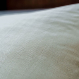 Kayori Naka Saliegroen