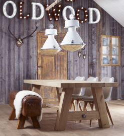 industrial lamp tanek painted