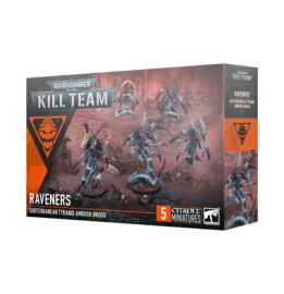Kill Team Raveners (Warhammer nieuw)