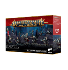 Daughters of Khaine Blood Hags (Warhammer nieuw)