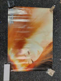 Dead or Alive 2 hard core promotie poster (tweedehands)