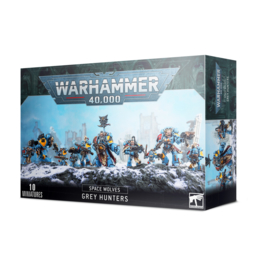 Warhammer 40.000 Space Wolves Grey hunters (Warhammer nieuw)