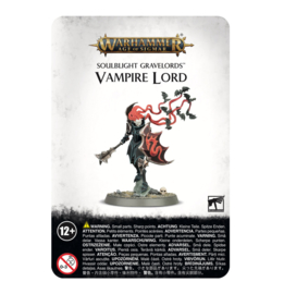 Soulblight Gravelords Vampire Lord (Warhammer nieuw)