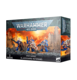 Warhammer 40,000 Space Marines Bladeguard veterans (Warhammer nieuw)