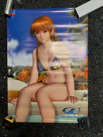Dead or Alive Xtreme Volleyball promotie poster (tweedehands)
