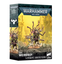Orks Weirdboy (Warhammer nieuw)