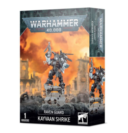 Raven guard Kayvaan Shrike (Warhammer 40.000 nieuw)