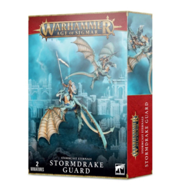 Stormcast Eternals Stormdrake guard (Warhammer Age of Sigmar nieuw)