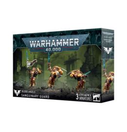 Blood Angels Sanguinary Guard 2024 (Warhammer 40.000 nieuw)