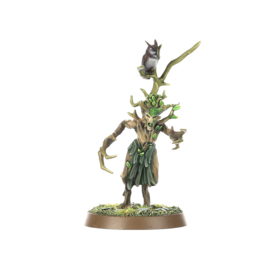 Start Collecting Sylvaneth (Warhammer nieuw)