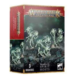 Nighthaunt Spirit Hosts (Warhammer Age of Sigmar Nieuw)